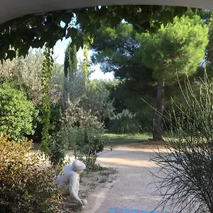 la-maison-des-voyageurs-arles.fr-provencehotel.com/